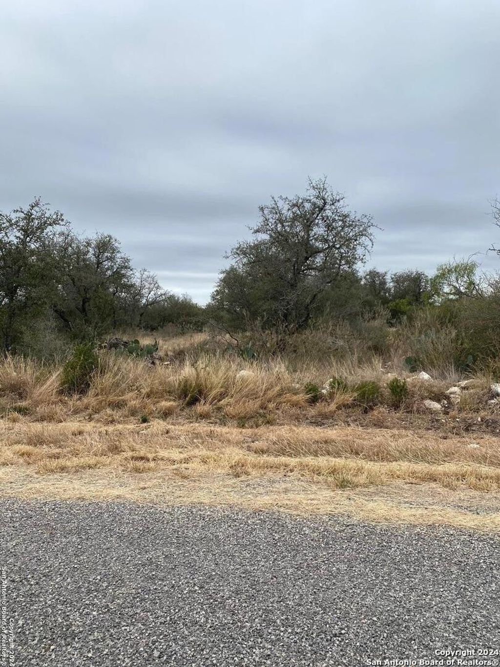 Photo of 343 LEGEND HILLS RD, Uvalde, TX 78801 (MLS # 1816929)