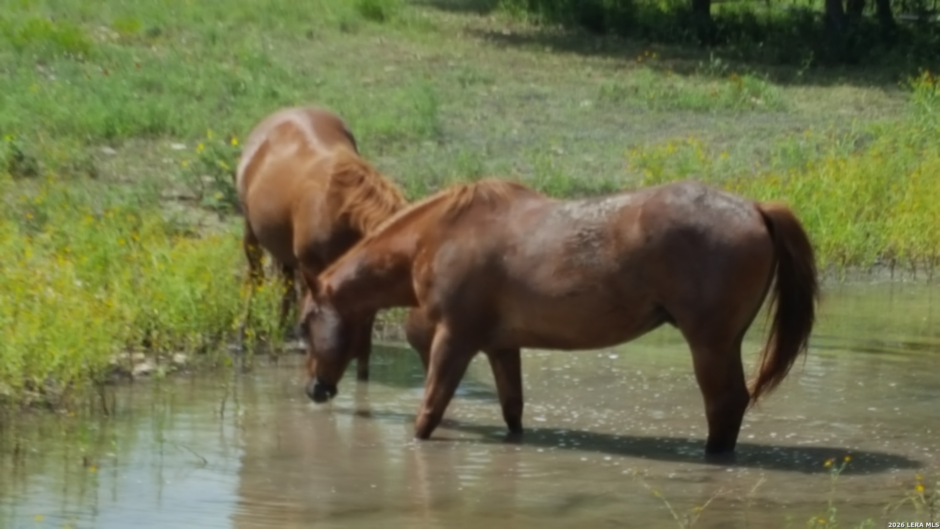 552 (LOT 2002) Rock Trail