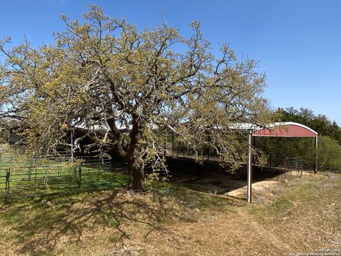 listing image 44