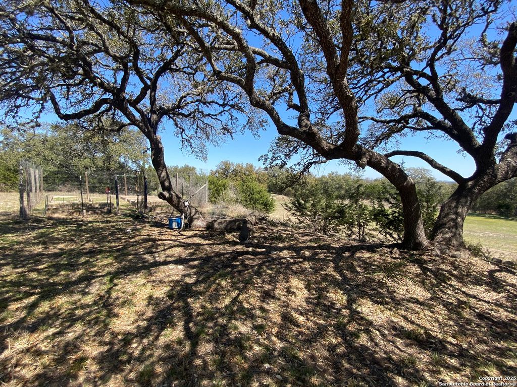 listing image 38