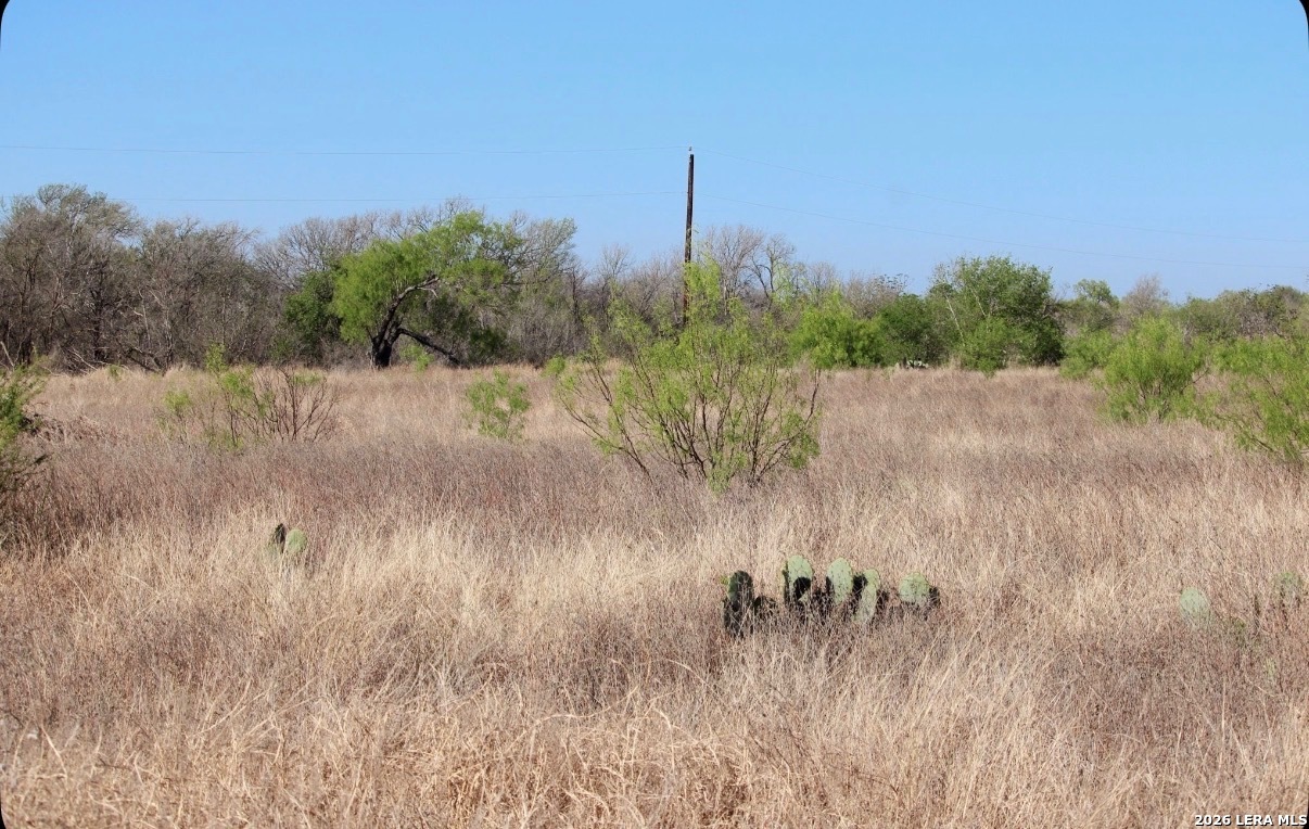 435 County Road 7715