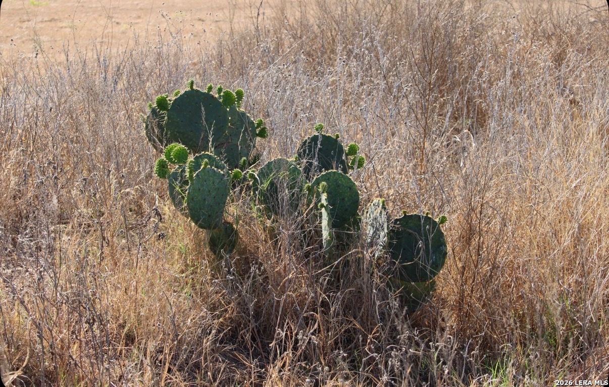 435 County Road 7715