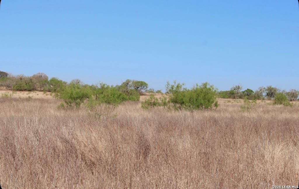 Photo of 435 County Road 7715, Devine, TX 78016 (MLS # 1951205)