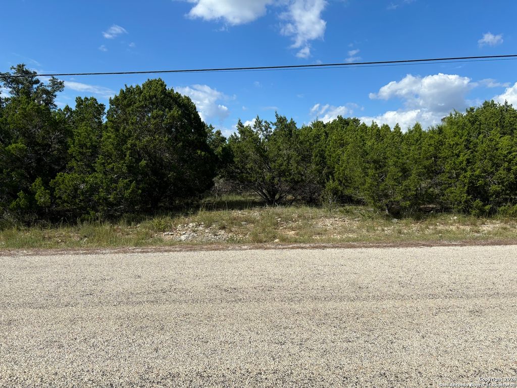 Photo of 336 lily, Spring Branch, TX 78070 (MLS # 1944454)