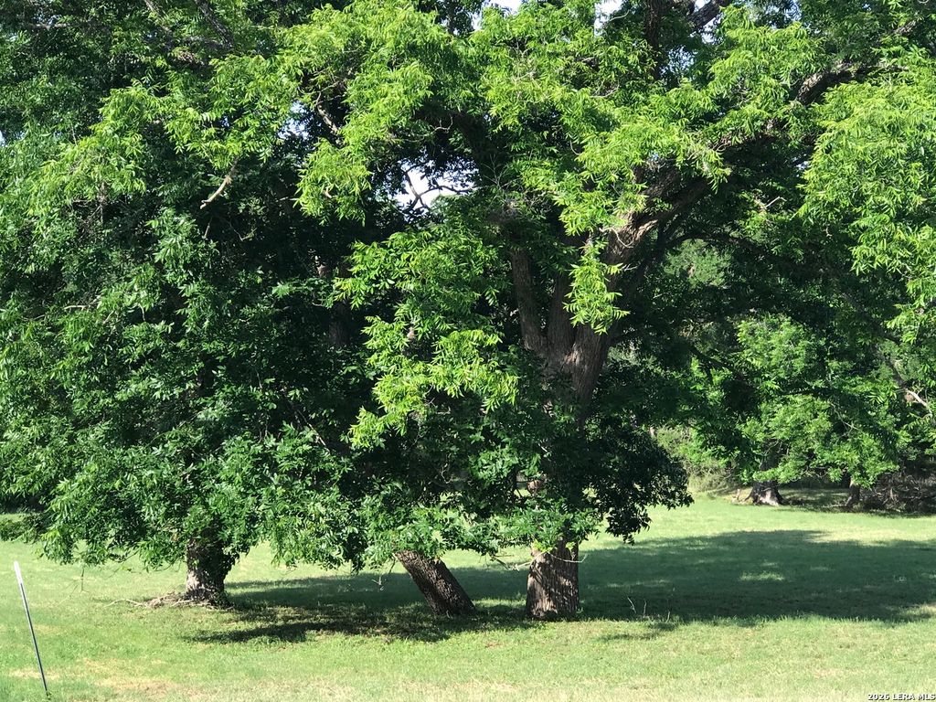 Photo of 25752 Morhiss Point, Boerne, TX 78006 (MLS # 1940671)