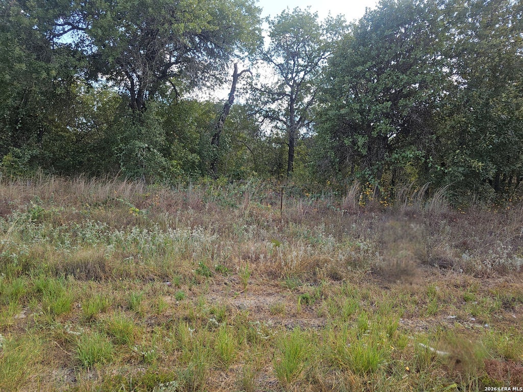 Photo of 1618 KERR CIR, San Antonio, TX 78264 (MLS # 1897246)