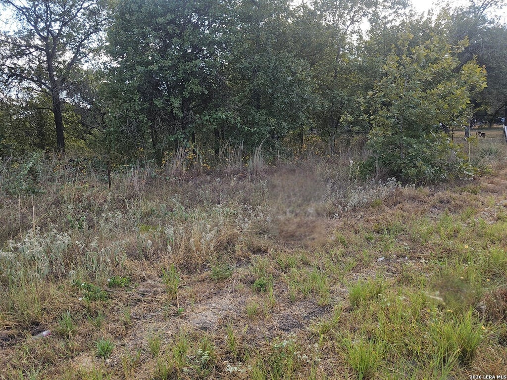 Photo of 1618 KERR CIR, San Antonio, TX 78264 (MLS # 1897246)