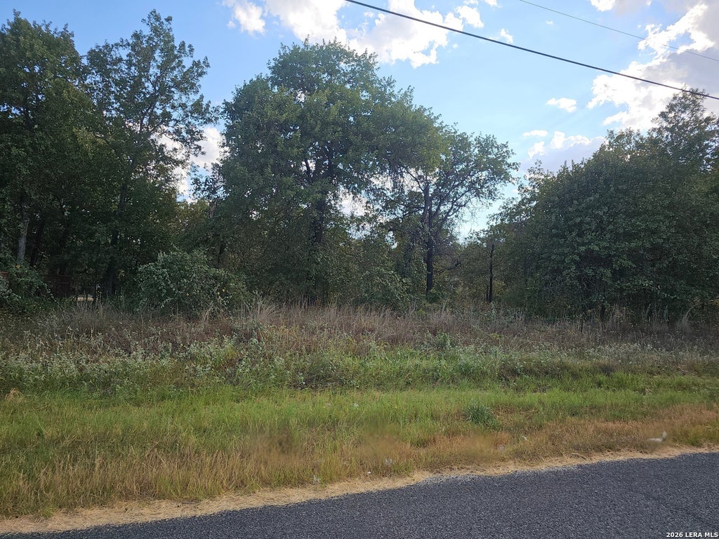 Photo of 1618 KERR CIR, San Antonio, TX 78264 (MLS # 1897246)