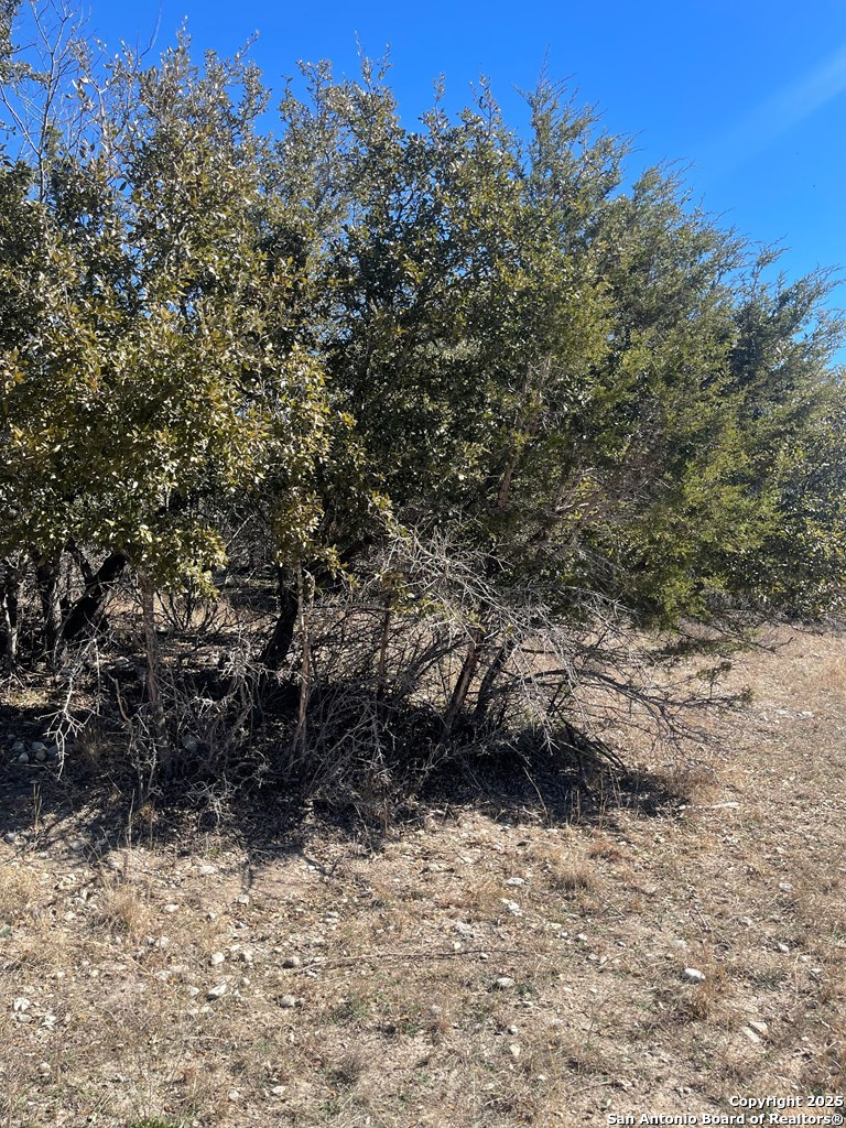 LOT #12 Enchanted River Dr.