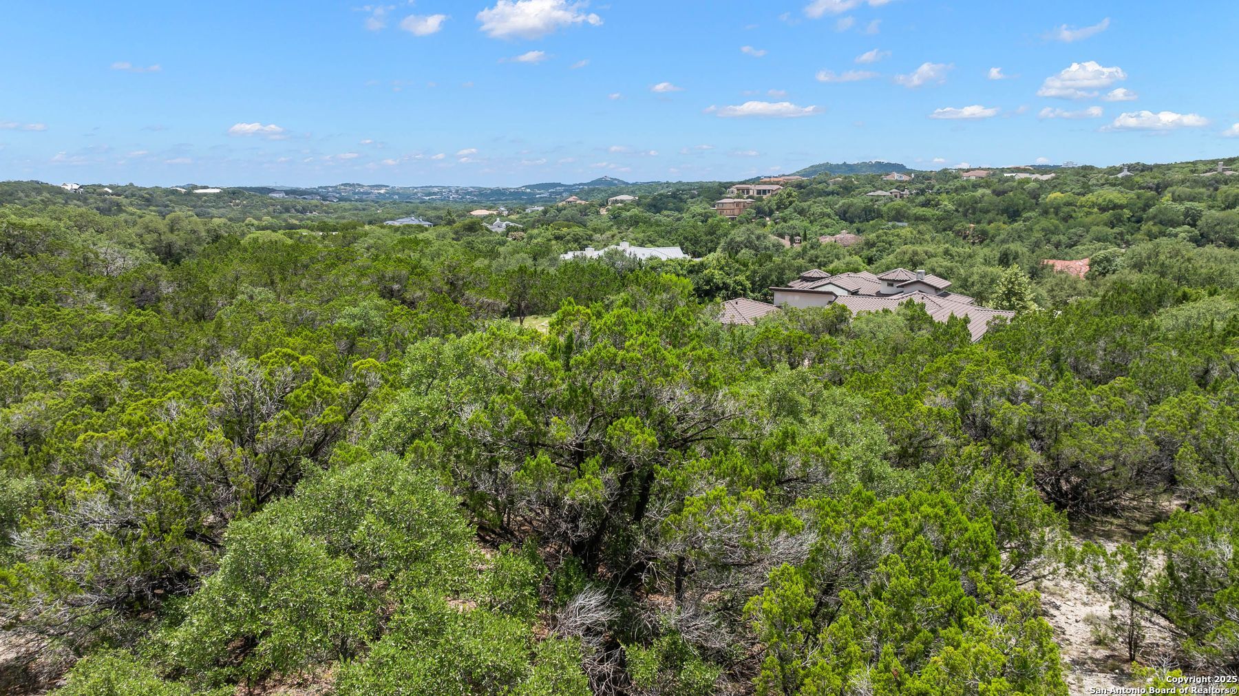25506 Carrizo