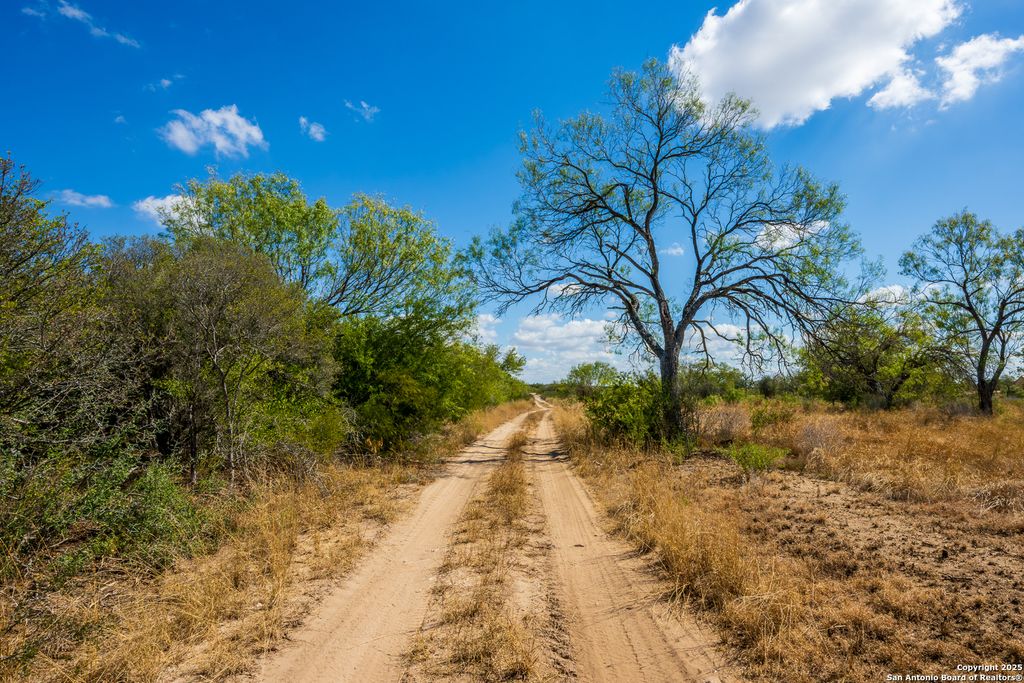 Photo of CR 652 Cr 652, Devine, TX 78016 (MLS # 1922412)