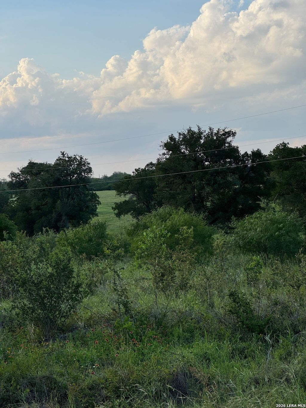 Photo of 920 Mills Way, Seguin, TX 78155 (MLS # 1965667)