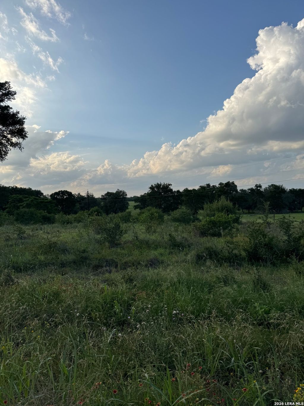 Photo of 920 Mills Way, Seguin, TX 78155 (MLS # 1965667)