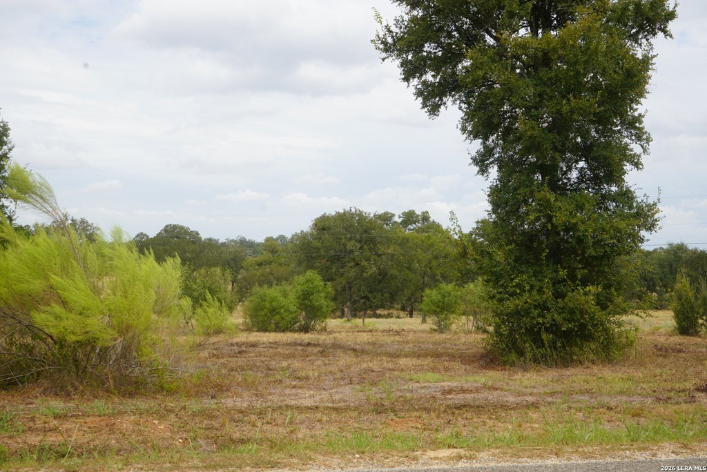Photo of 920 Mills Way, Seguin, TX 78155 (MLS # 1965667)