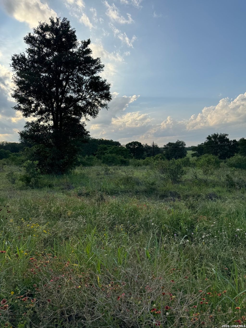 Photo of 920 Mills Way, Seguin, TX 78155 (MLS # 1965667)