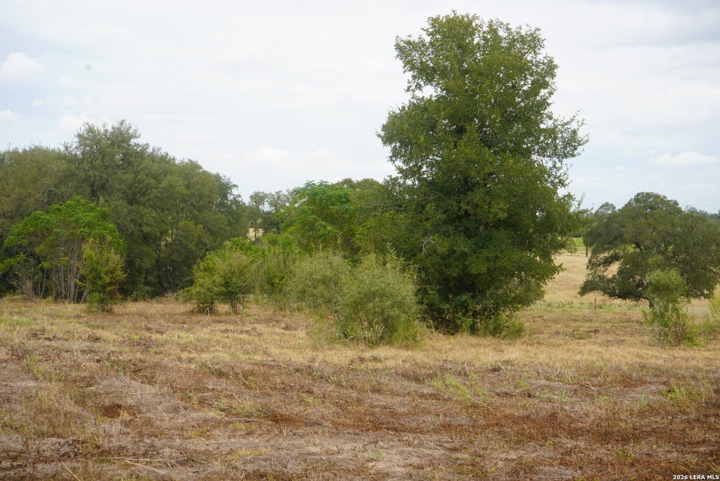 Photo of 920 Mills Way, Seguin, TX 78155 (MLS # 1965667)