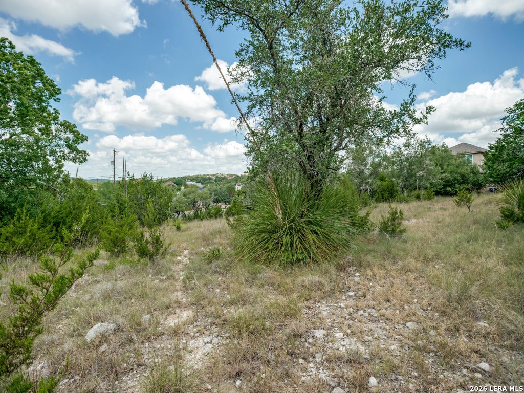 Photo of 25402 Singing Rain, San Antonio, TX 78260 (MLS # 2008078)