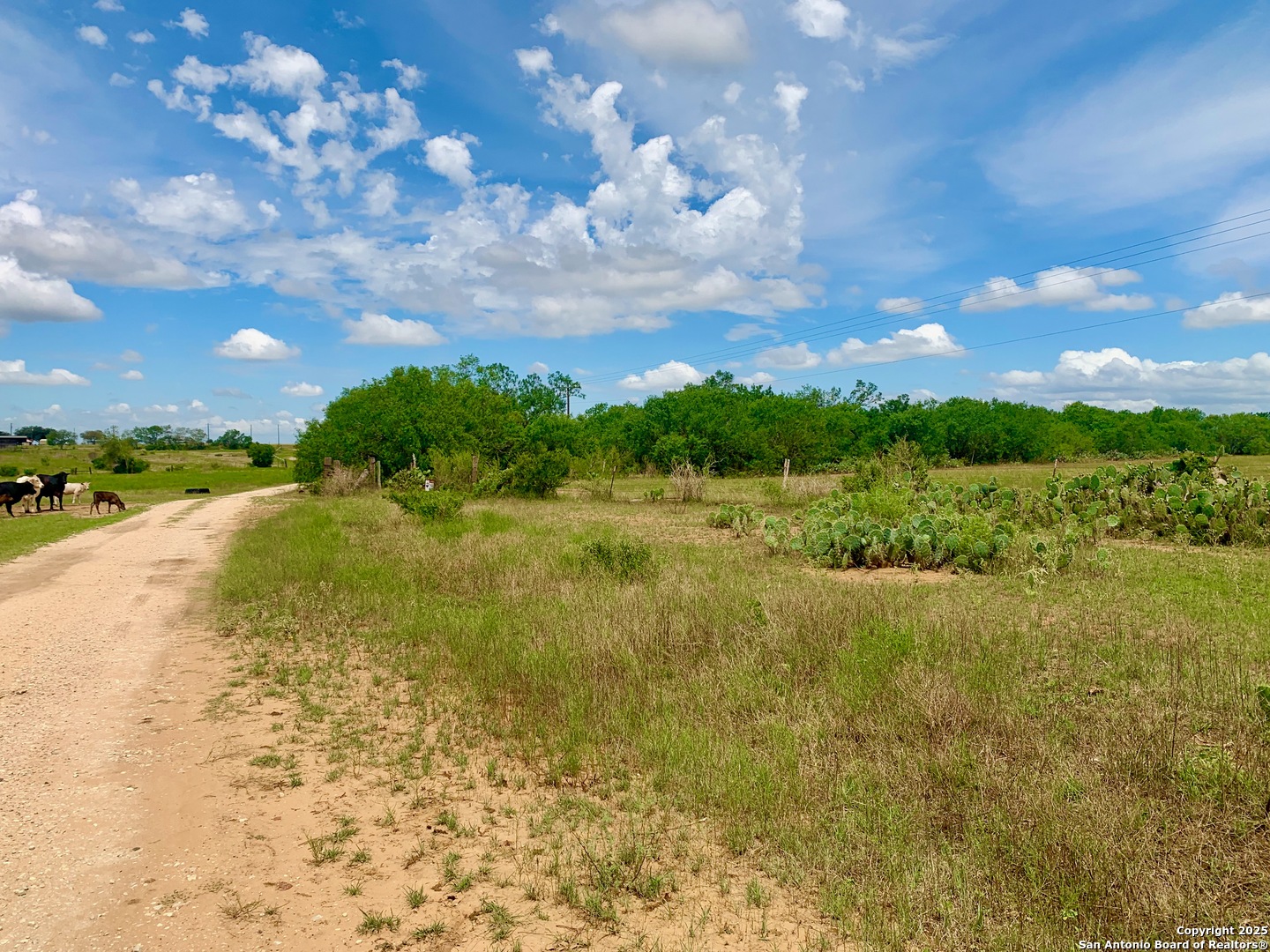 25.83 AC tbd Kotara Ln/CR 257