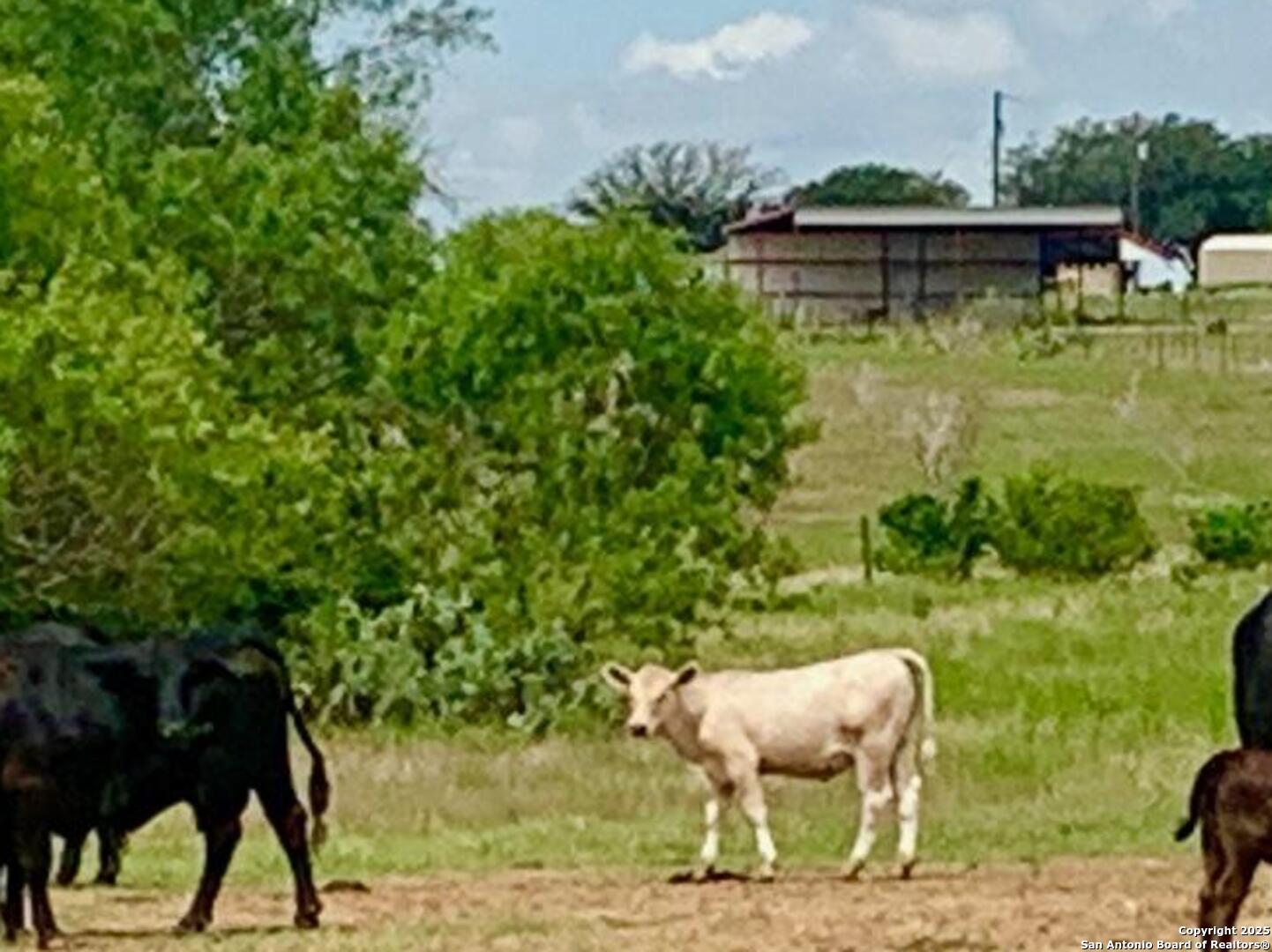 25.83 AC tbd Kotara Ln/CR 257
