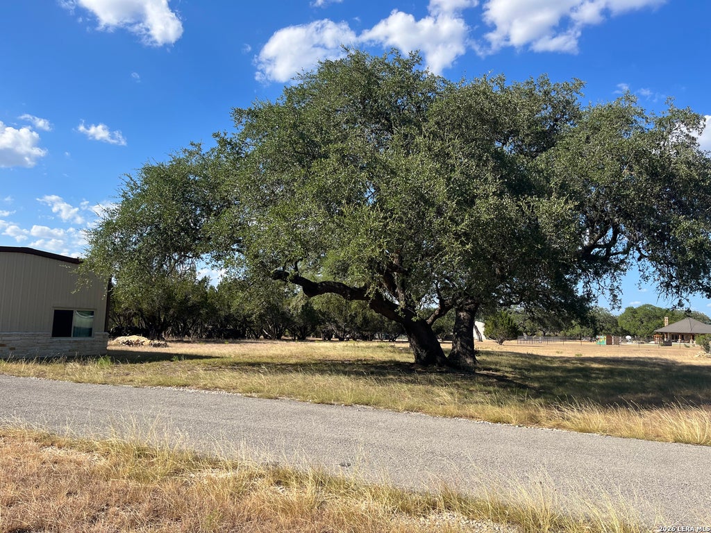 Photo of 239 Appaloosa Hollow, Bandera, TX 78003 (MLS # 1949625)