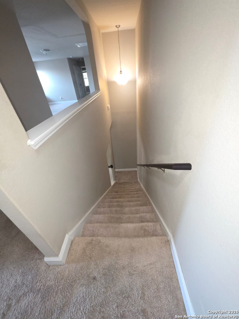 12830 Lone Star Leaf