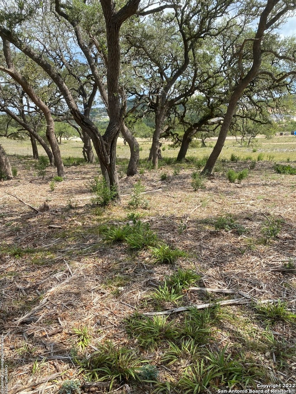 Photo of 24510 Paraiso Ridge, San Antonio, TX 78255 (MLS # 1631954)