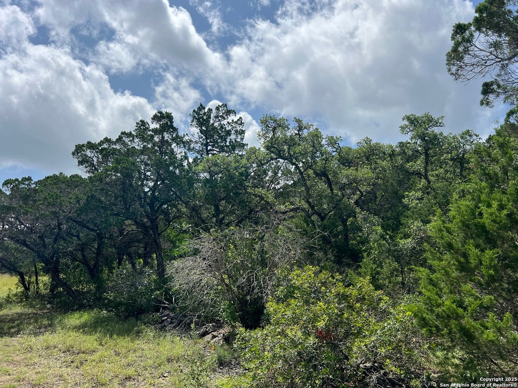 Photo of 19031 Bandera Rd, Helotes, TX 78023 (MLS # 1878627)