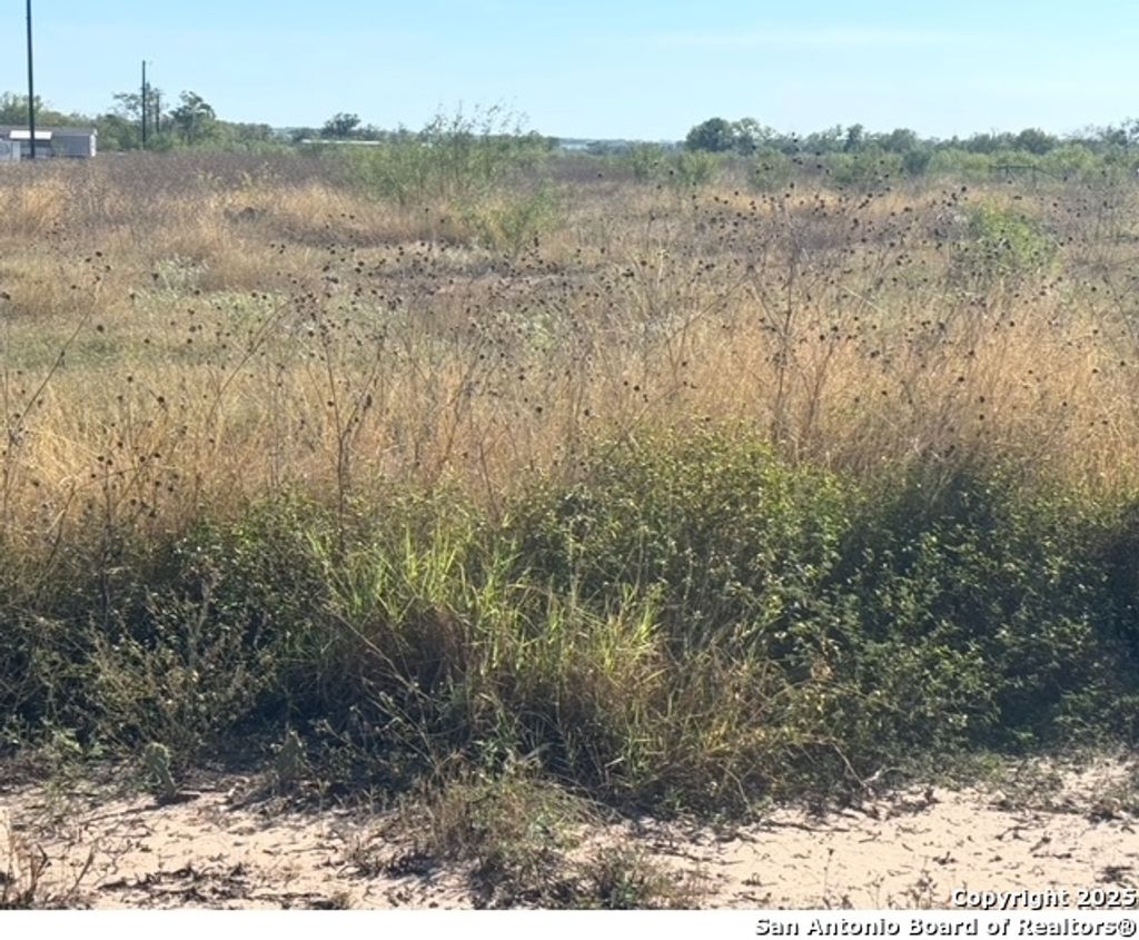 Photo of 448 County Road 7712, Devine, TX 78016 (MLS # 1922483)