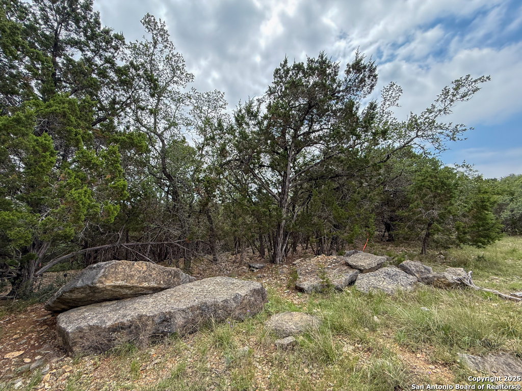 117 Calhoon Court