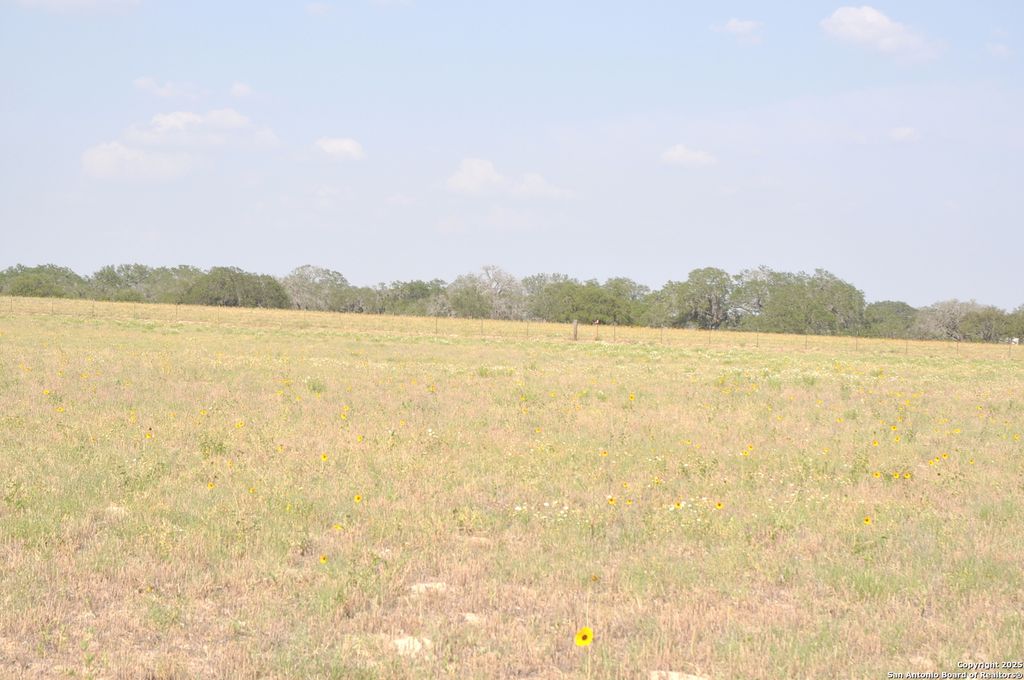 Photo of TBD CR 777, Devine, TX 78016 (MLS # 1868995)