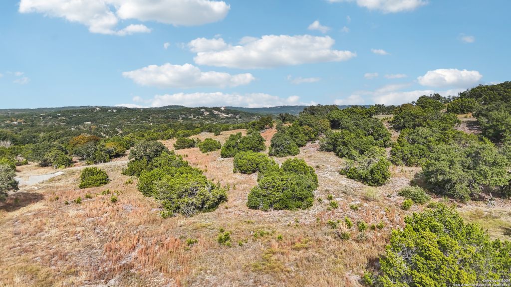 Photo of 845 Bell Canyon Way, Bulverde, TX 78163 (MLS # 1826525)