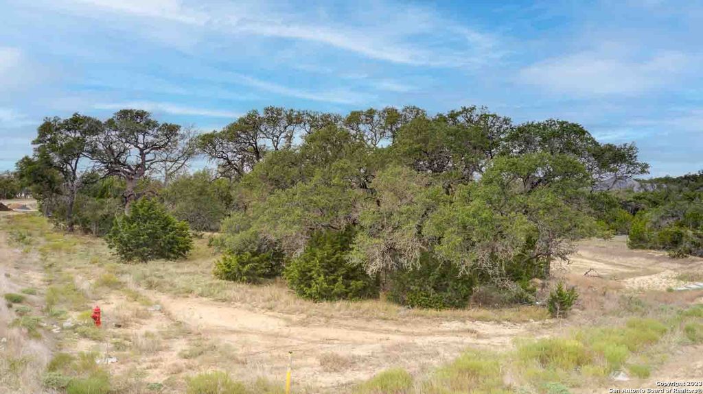 Photo of 704 Sharp Springs Rd, Bulverde, TX 78163 (MLS # 1726466)