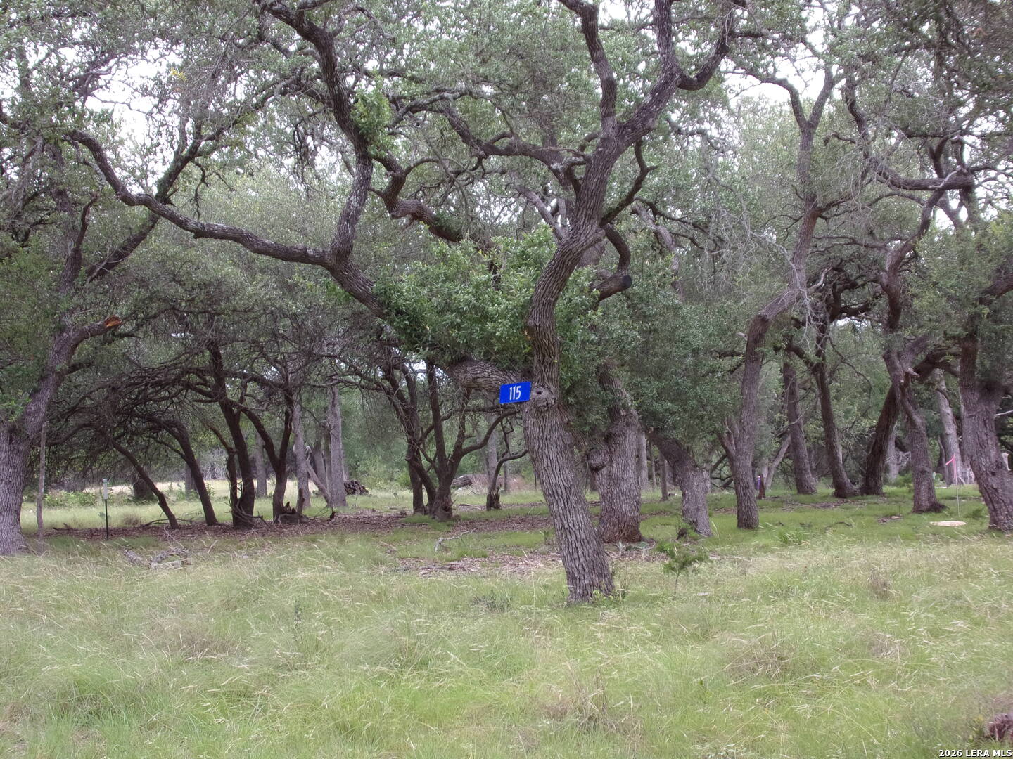 Photo 1 of 17 — 115 LA LUNA DR, Blanco, TX 78606