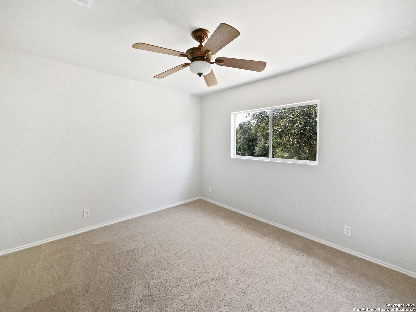 12719 Holly Cedar