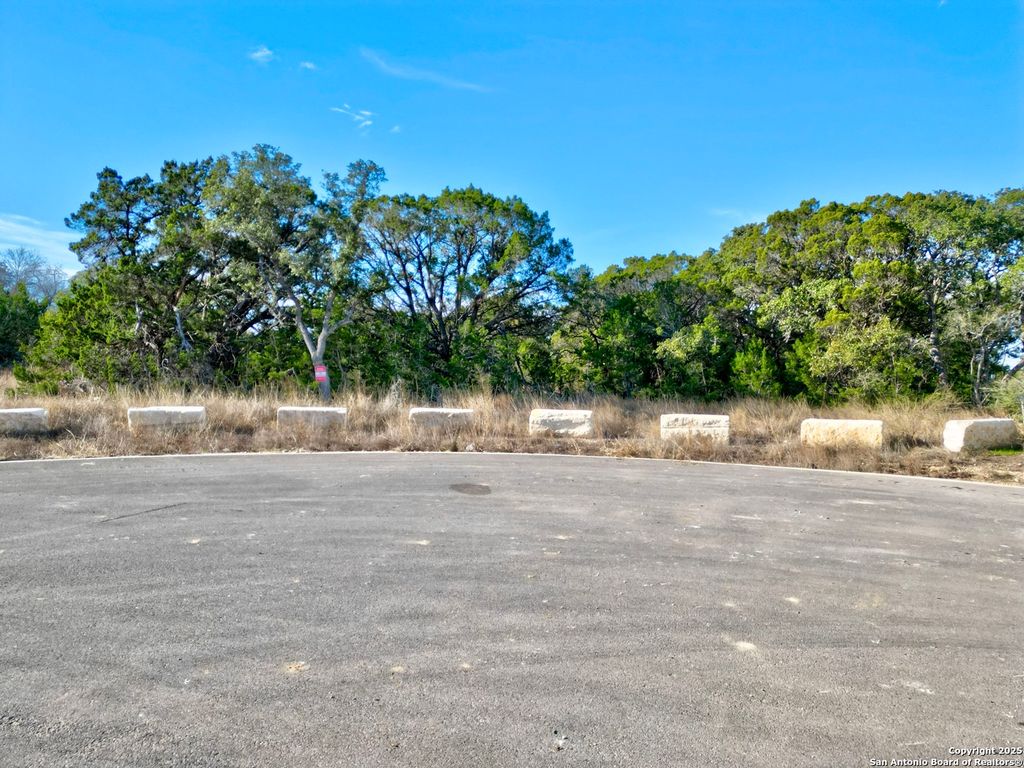 Photo of 34605 Ansley Ridge Trl, Bulverde, TX 78163 (MLS # 1835738)