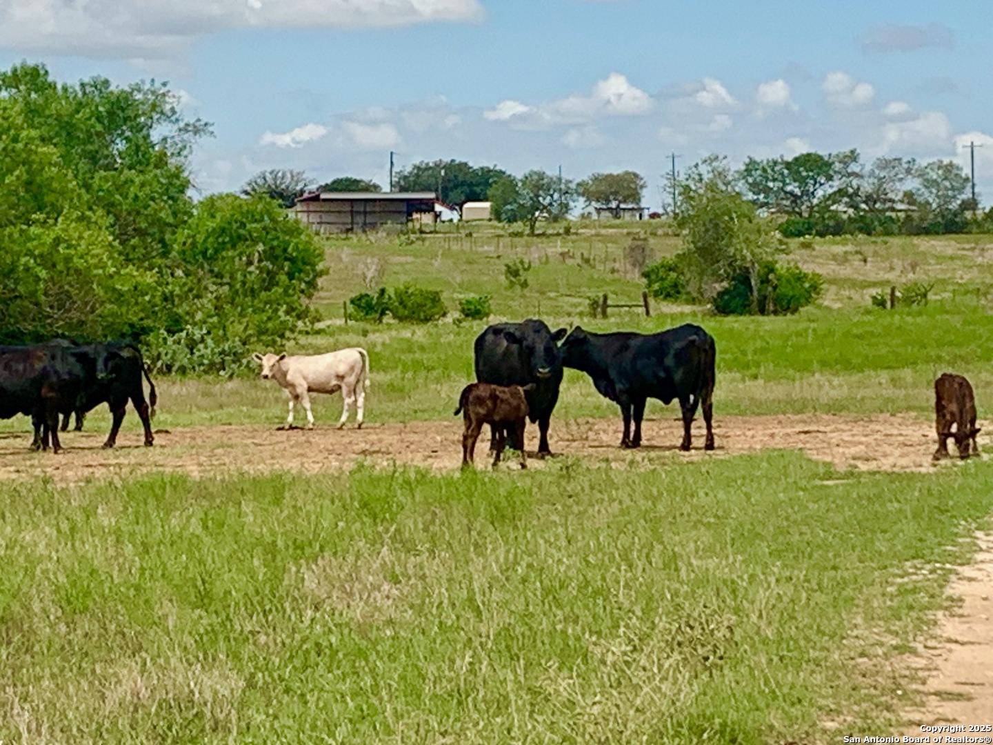 53.33 Kotara Lane/County Road 257