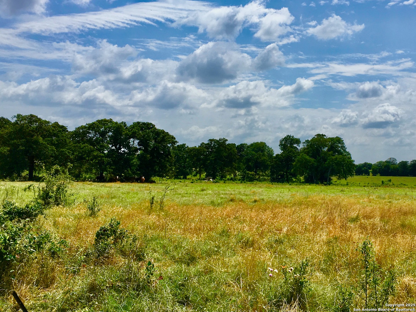 53.33 Kotara Lane/County Road 257