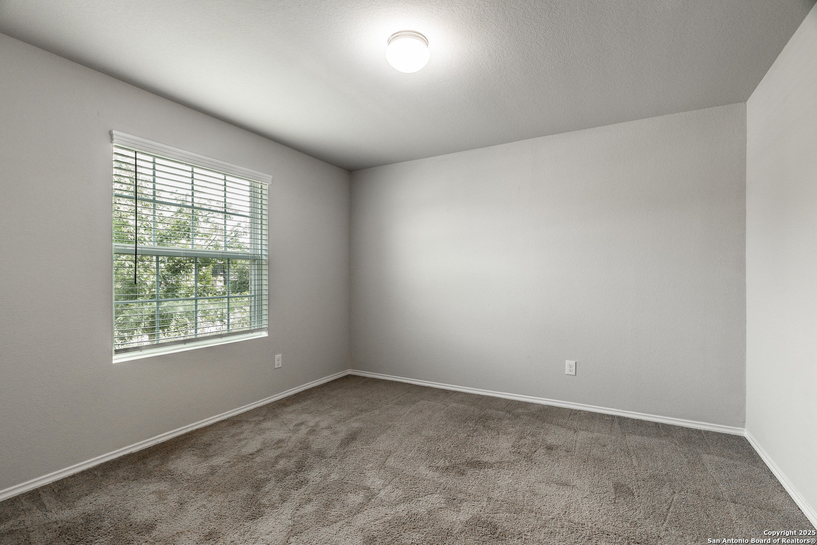 2931 Daisy Meadow