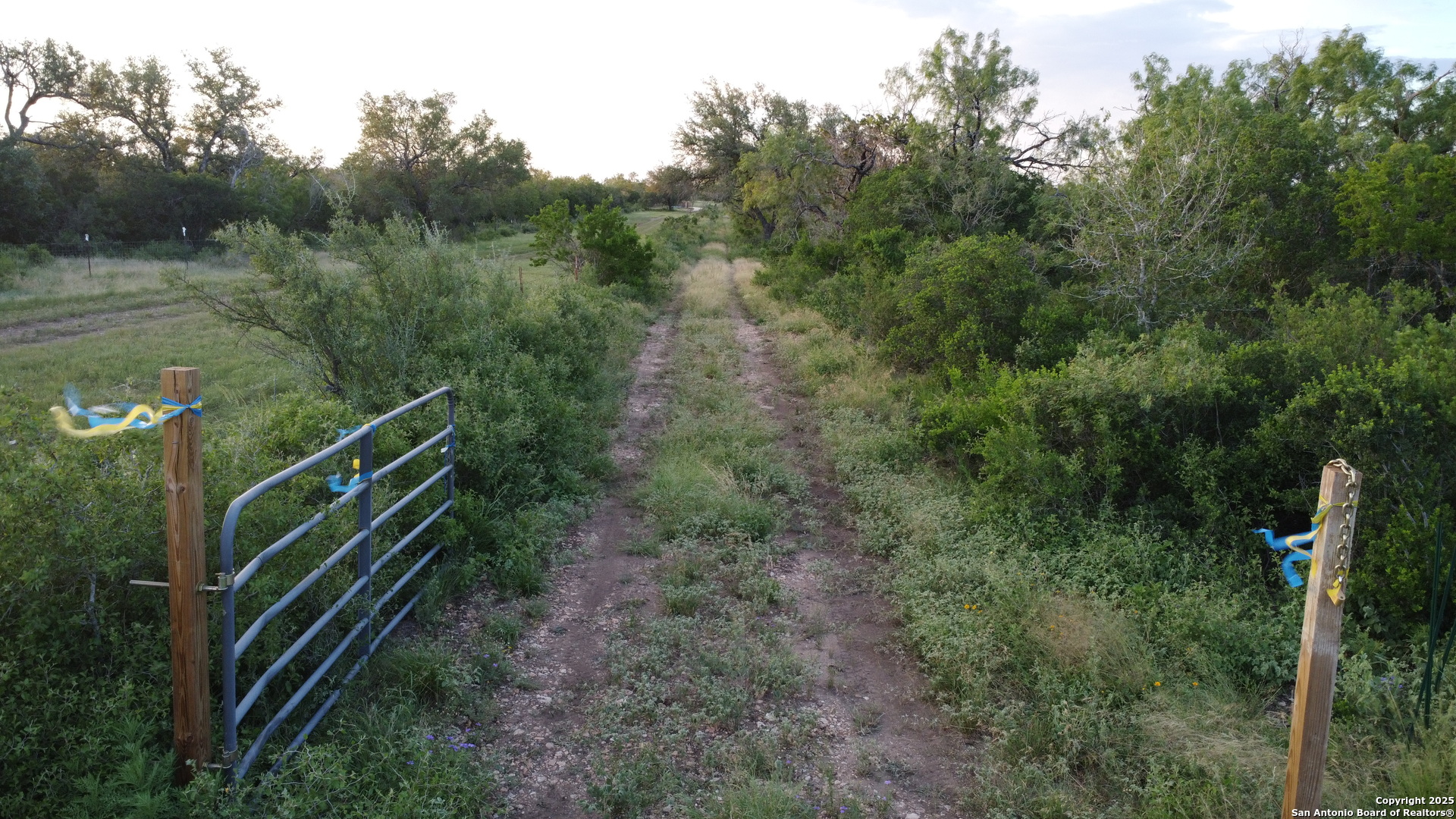 TBD County Road 445