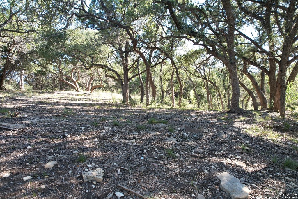 Photo of 34749 Carries Creek, Bulverde, TX 78163 (MLS # 1648282)