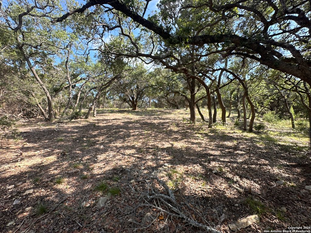 Photo of 34749 Carries Creek, Bulverde, TX 78163 (MLS # 1648282)