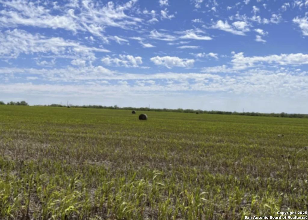 Photo of TRACT B Abbott, St Hedwig, TX 78152 (MLS # 1857225)
