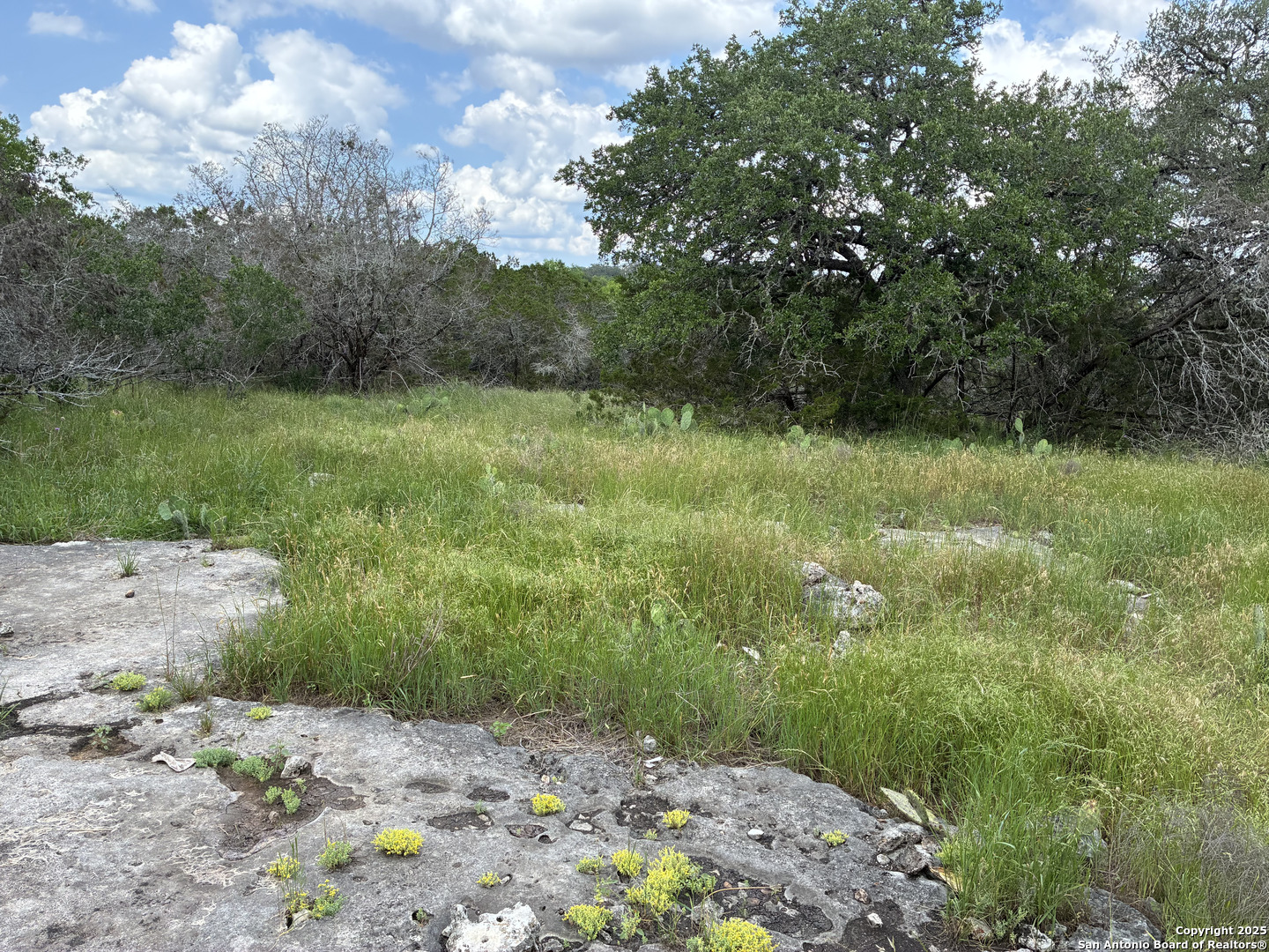 203 Bluff View