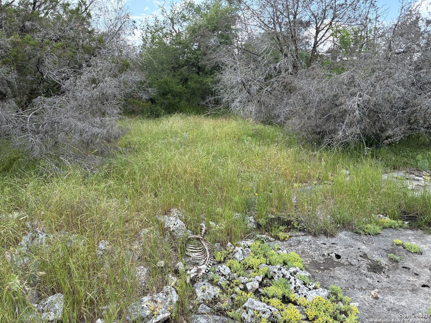 203 Bluff View