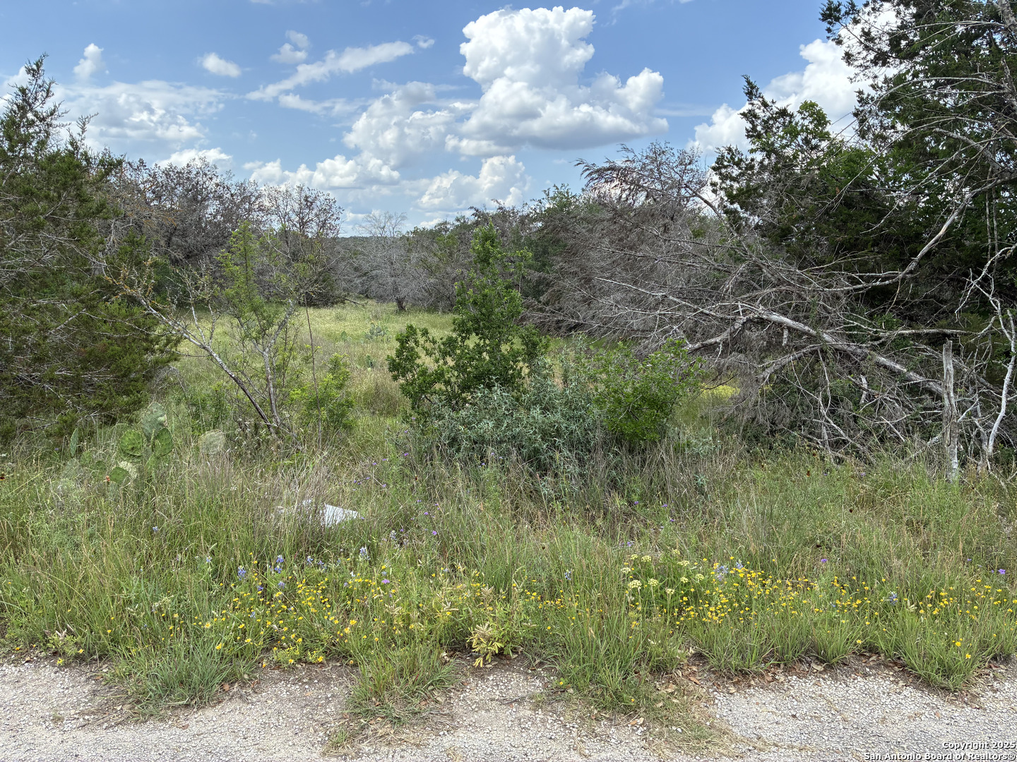 203 Bluff View