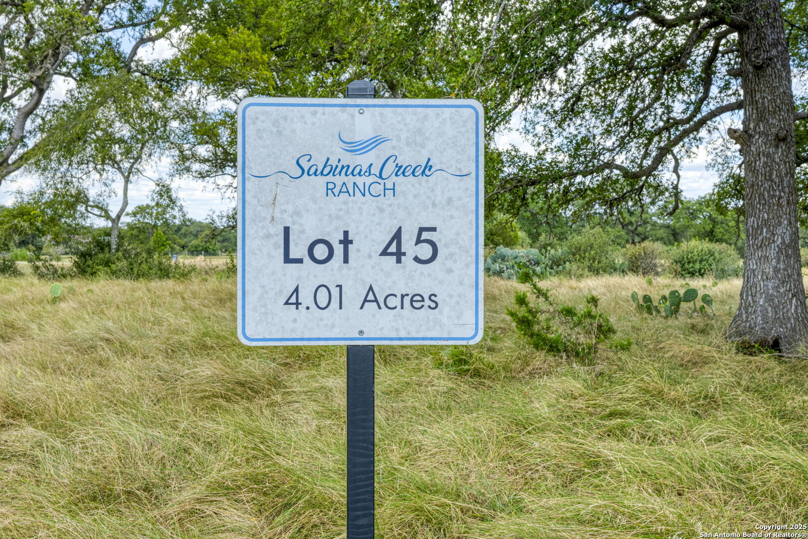 LOT 45 Sabinas Creek Ranch