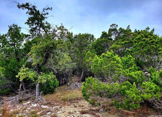171 APPALOOSA DR, FISCHER, TX 78623 - Image b45a5f5adb5acfffdc61cd7b08c50f44/2202163867