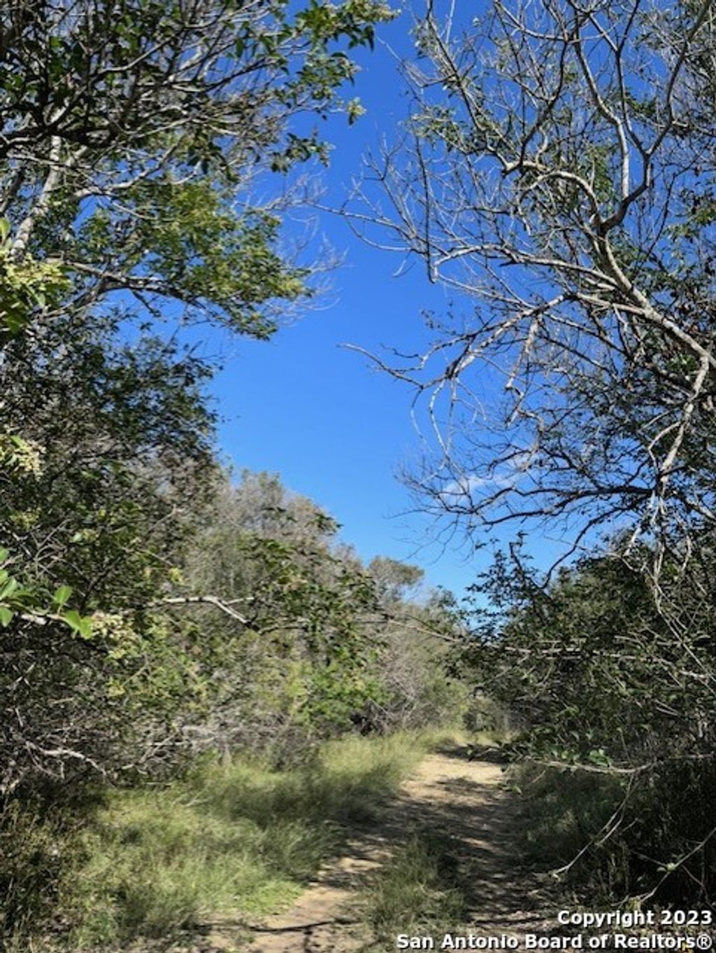 Photo of 11731 Bricken Circle, San Antonio, TX 78233 (MLS # 1740962)