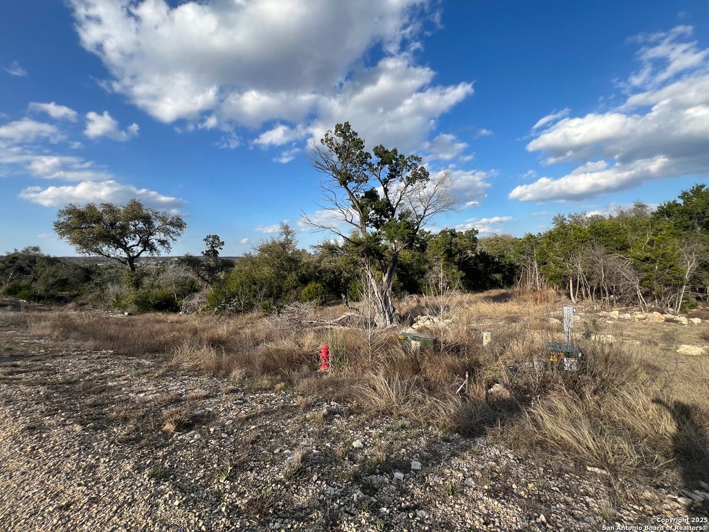 Photo of 1420 Stahlman, New Braunfels, TX 78132 (MLS # 2015049)