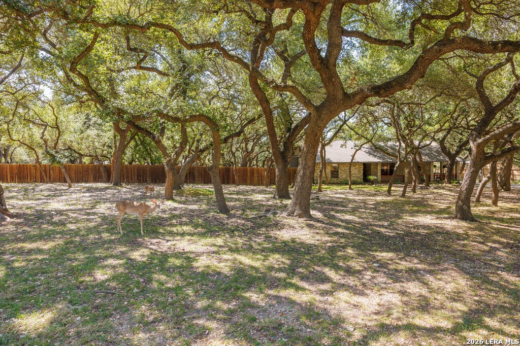 Photo of 112 Golden Morn, San Antonio, TX 78260 (MLS # 2016047)